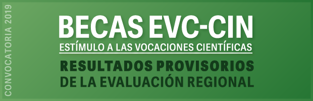 Becas EVC-CIN 2019. Resultados provisorios de la evaluación regional completos